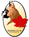 Boxer Club Logo
